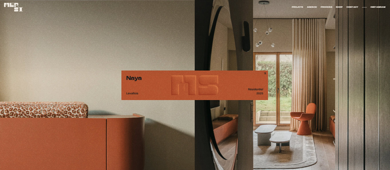 MERSI project